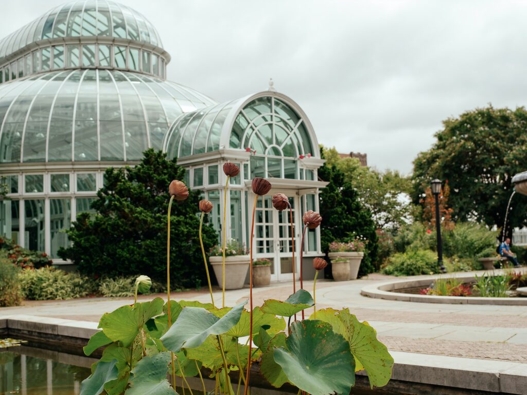 white metal framed glass building botanical garden