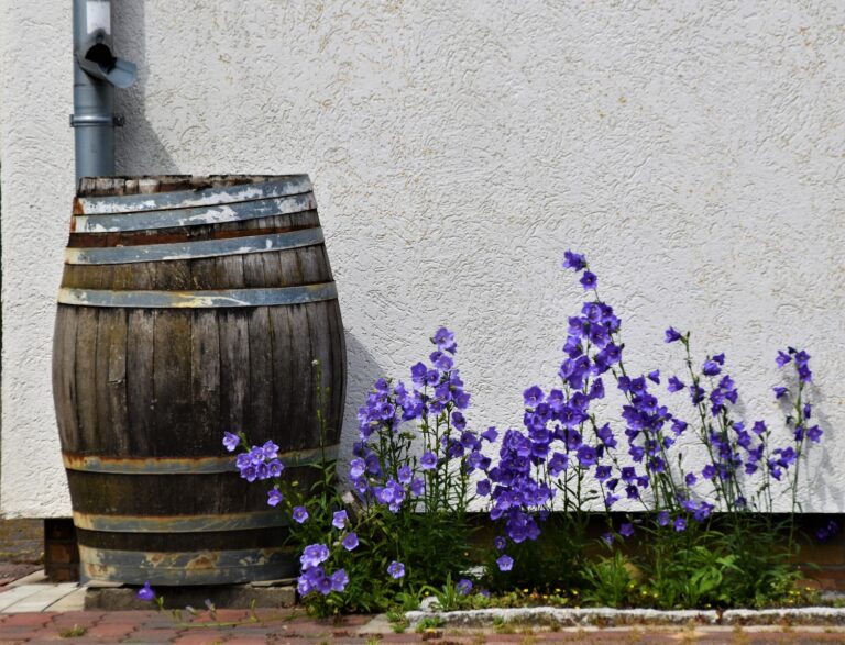 purple flowers near brown wooden rain barrel