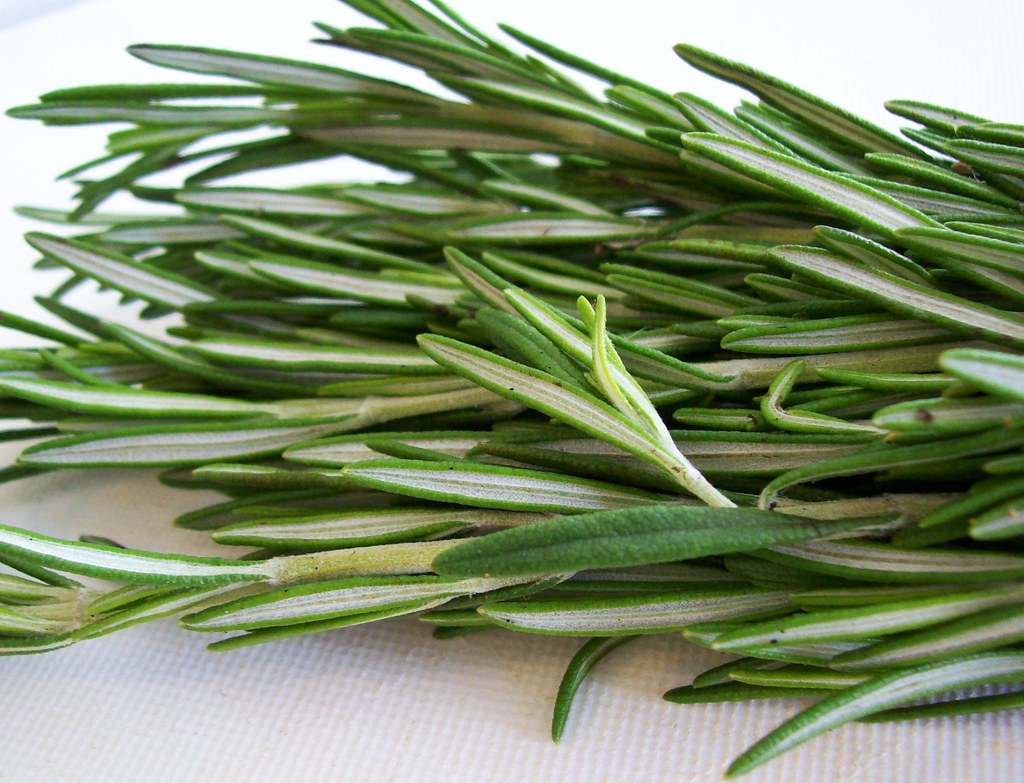Rosemary oil side effects essential oil