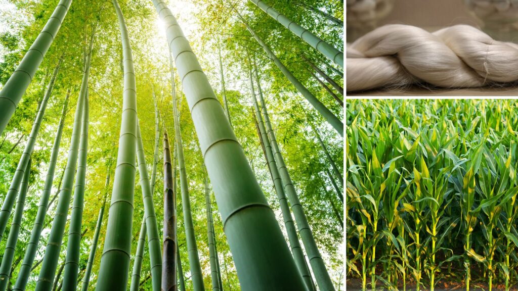 RAW SILK, BAMBOO AND CORN ALL USED FOR NON TOXIC DENTAL FLOSS Brands