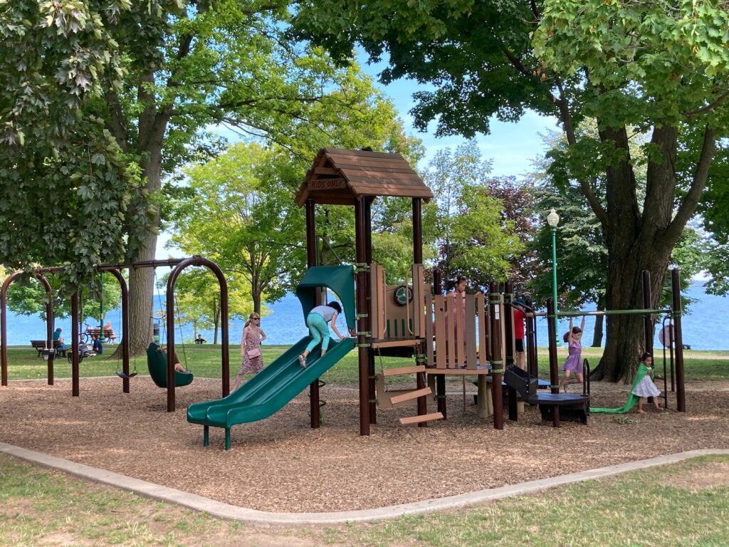 brown wooden playground surrounded by green trees during daytime with non toxic rubber mulch