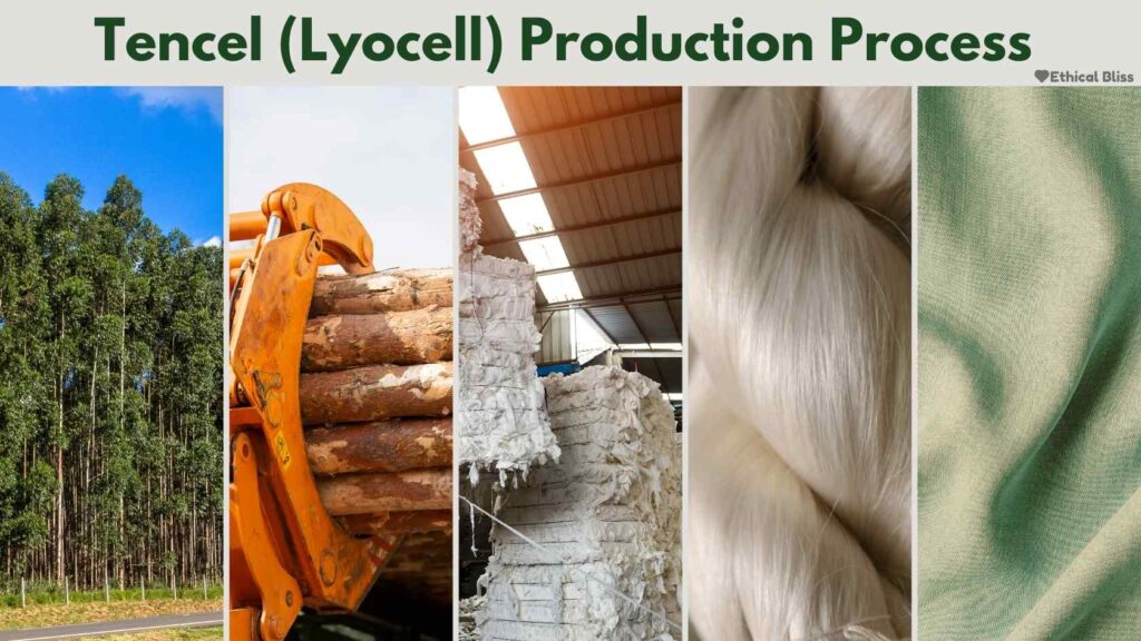 tencel production process photo of trees then logs then fiber then fabric