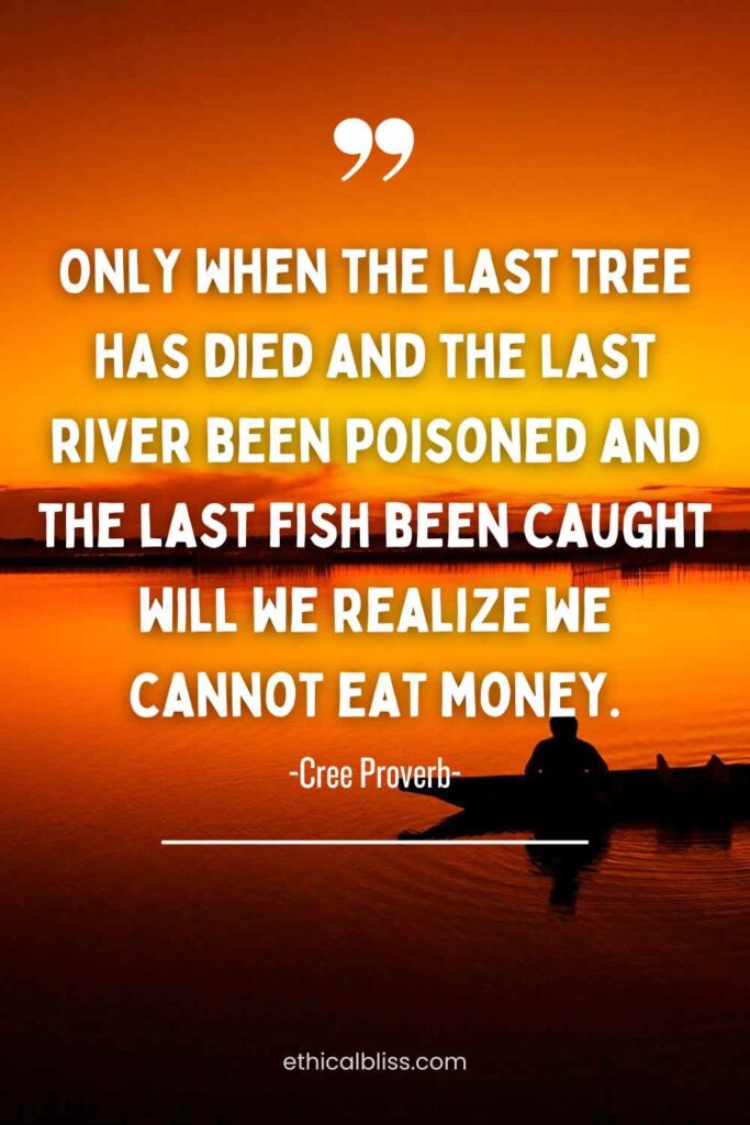sustainability quote with a massive sunset over water washed in orange. the quote says only when the last tree has died and the last river been posoned and the last fish been caught will we realize we cannot eat money