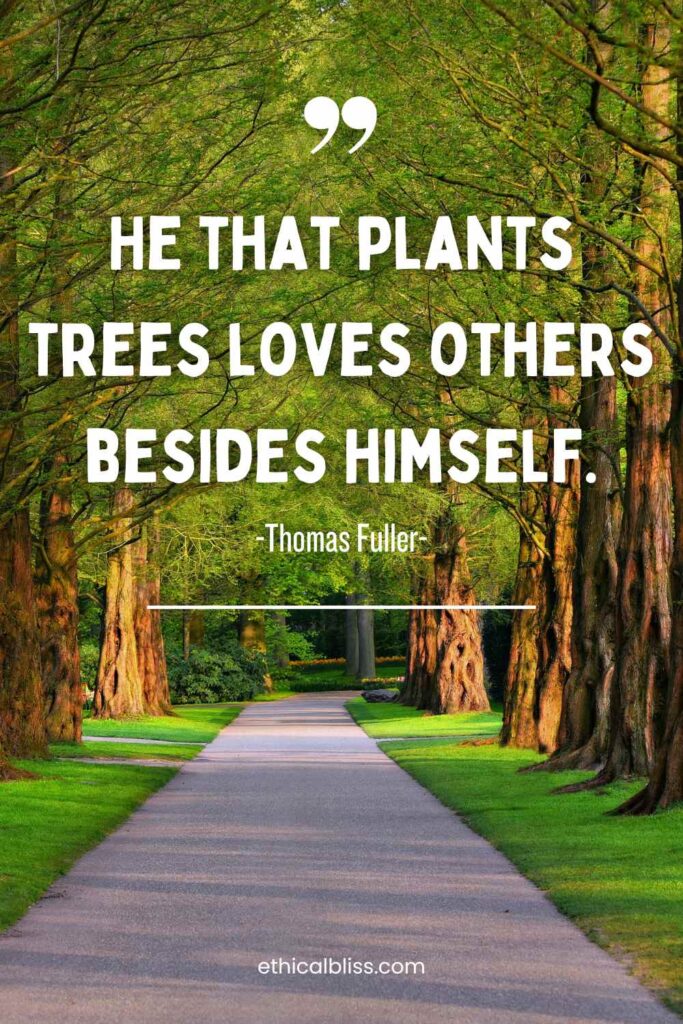 eco friendly quote that says he that plants trees loves others beside himself. It's a tree lined path.